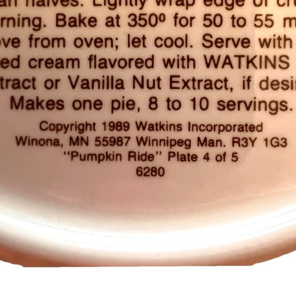 Vtg 1989 WATKINS Country Kids Pumpkin Pie Plate w/ Recipe 10.5" diameter x 2" h - Picture 9 of 11